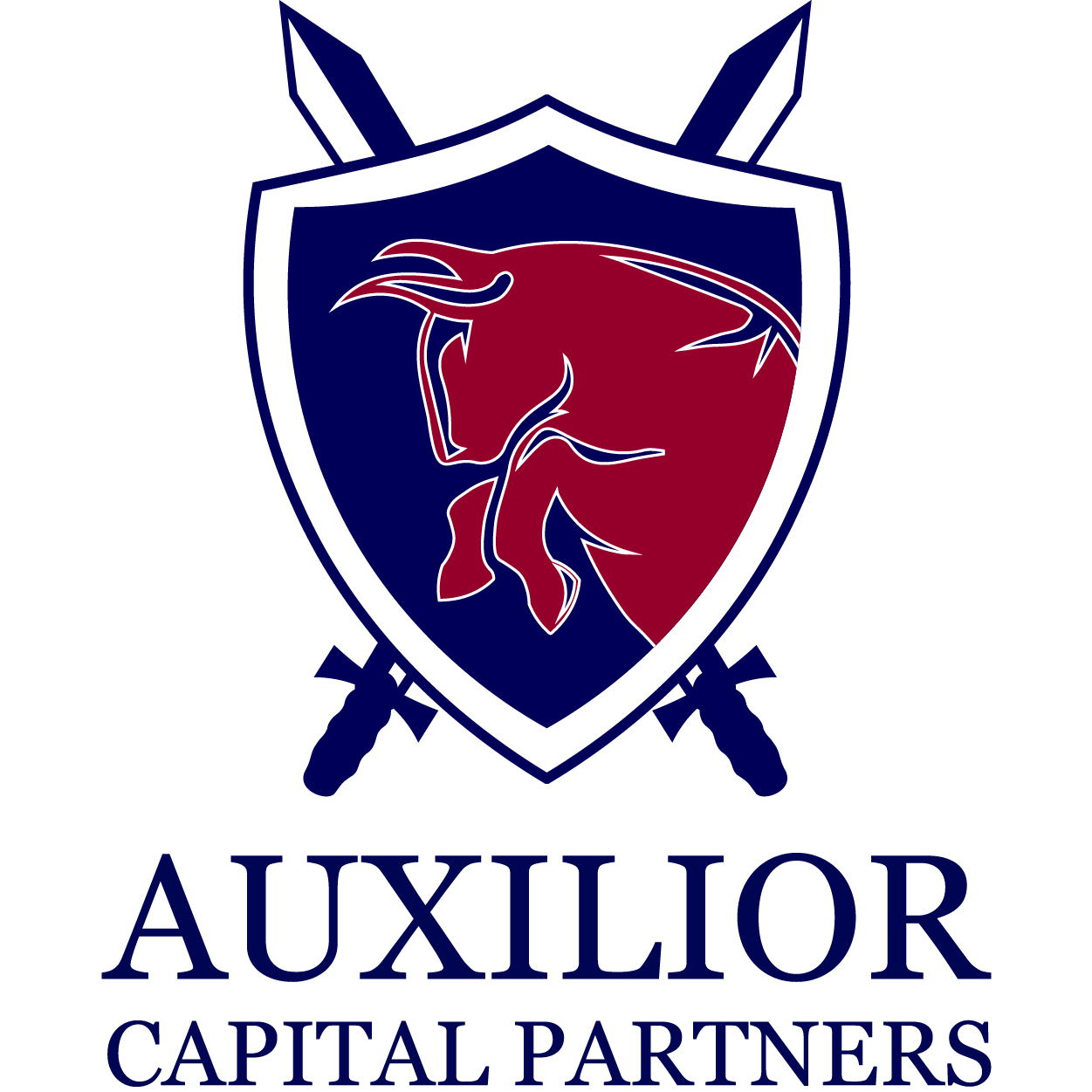 Maryellen Barbarish, Auxilior Capital Partners Monitordaily