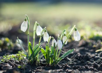 csaba talaber tldCrUd18io unsplash scaled 1