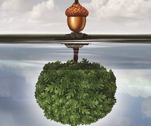 Underscoring Long-Term Value: 7 Tips To Defend The Bank-Based Equipment Finance Business Line