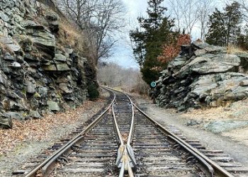 2024 NextGen Icon: Nick Fong — Merging the Evolving Worlds of Marketing and Technology