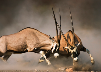 Truist Financial to Use CME Term SOFR as Replacement Reference Rate for Securities