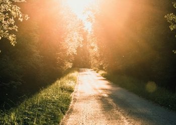 2025 Best Companies Leadership – Canon Financial Services: Redefining Leadership with a Culture of Collaboration and Visionary Growth