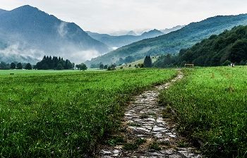 2025 Best Companies Leadership – First Citizens Equipment Finance: Leadership Excellence Paves A Path to Long-Term Success