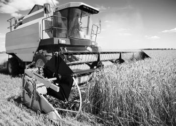 Market Outlook 2025: Agriculture