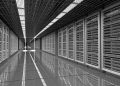 Market Outlook 2025: IT & Tech Services