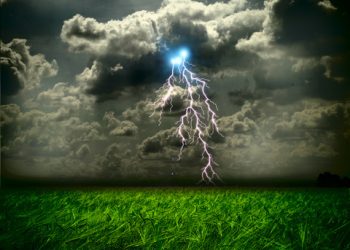 Survival & Sustainability: Will New Finance Models Thrive in a Post-COVID-19 World?