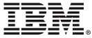 ibm logo