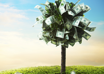 Show Me the Money! Independent Lessors — COVID Influenced Funding Challenges