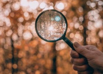 Six Trends That Will Shape 2023