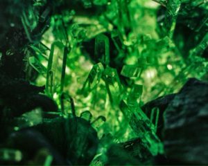 Shooting for ‘Kryptonite-Proof’ Innovation: An Interview with Jennifer Martin