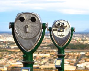 Staff Insights: Personal Histories