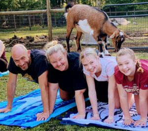 IMG 4721 Goats at 600