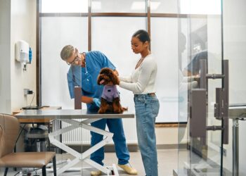 How Commercial Finance Brokers Are Helping Veterinary Practices Thrive Amid Tighter Bank Lending