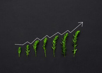 The Great Cash Flow Deception: Why SMBs Are Drowning in Revenue