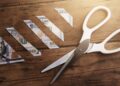 A $4 Million Wake-Up Call for Bank Subsidiaries Lending in California 2 The Future of SBA Lending Under DOGE’s Influence