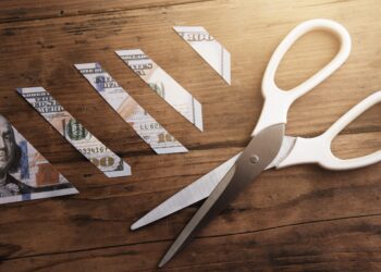 The Future of SBA Lending Under DOGE’s Influence
