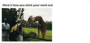 David with Giraffe