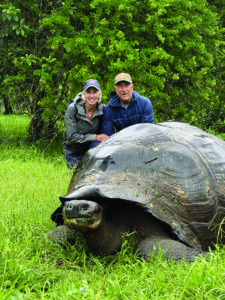 Petta Tortoise