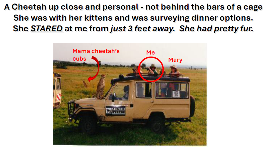 Quote and cheetah